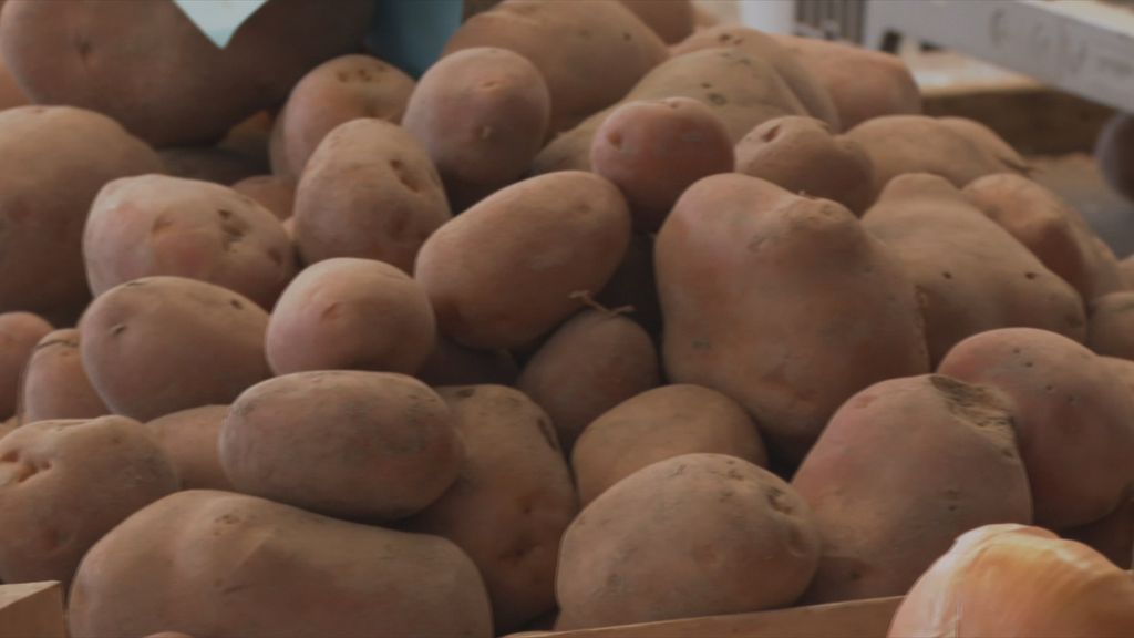 Zabilježen pad proizvodnje krumpira - 1