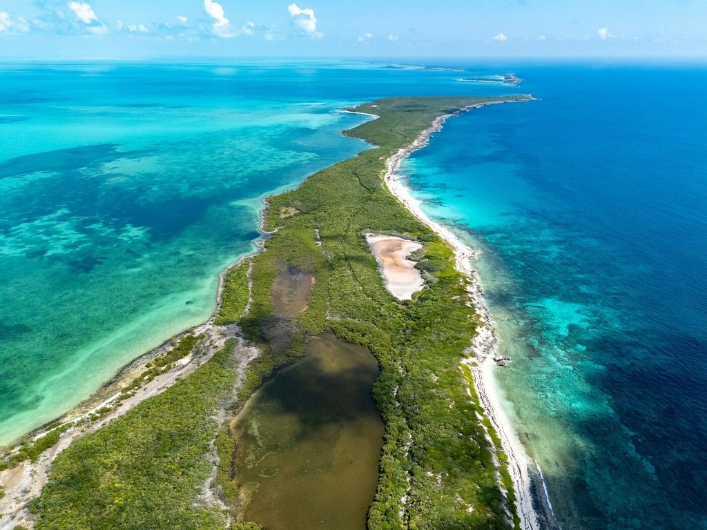 Shakirin otok Bonds Cay - 9