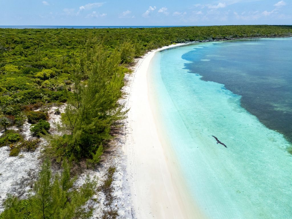 Shakirin otok Bonds Cay - 10