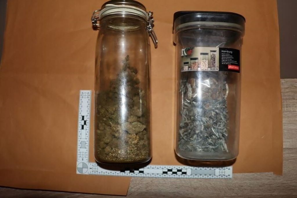 Policija, ilustracija