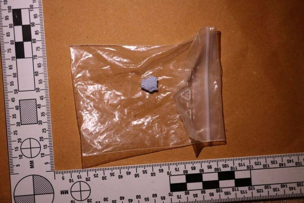 Policija, ilustracija