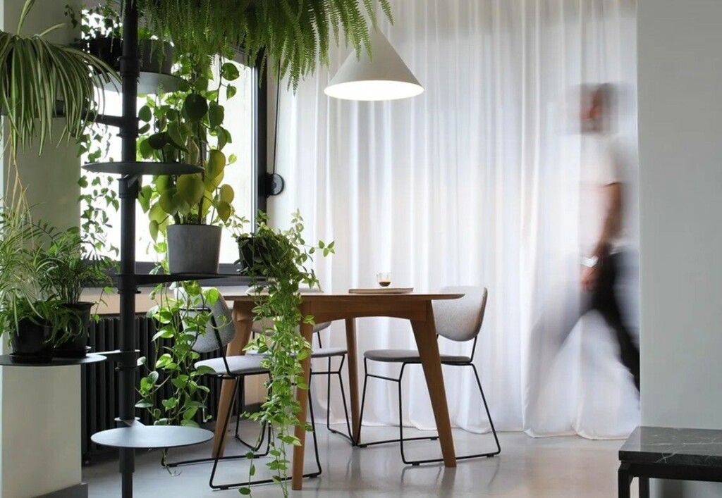 Bogato zelenilo unijelo je toplinu u stan