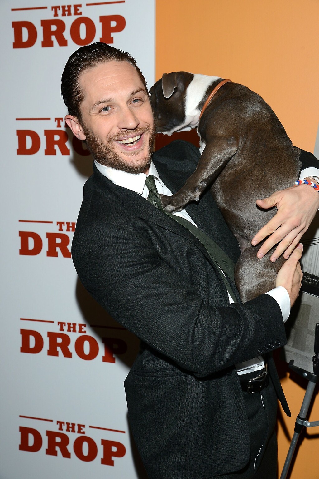 Prema vlastitom priznanju, Tom Hard pronađe psa za sebe na svakom setu