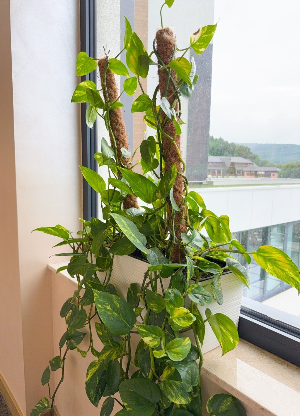 Biljke uspijevaju i uz minimalnu svjetlost