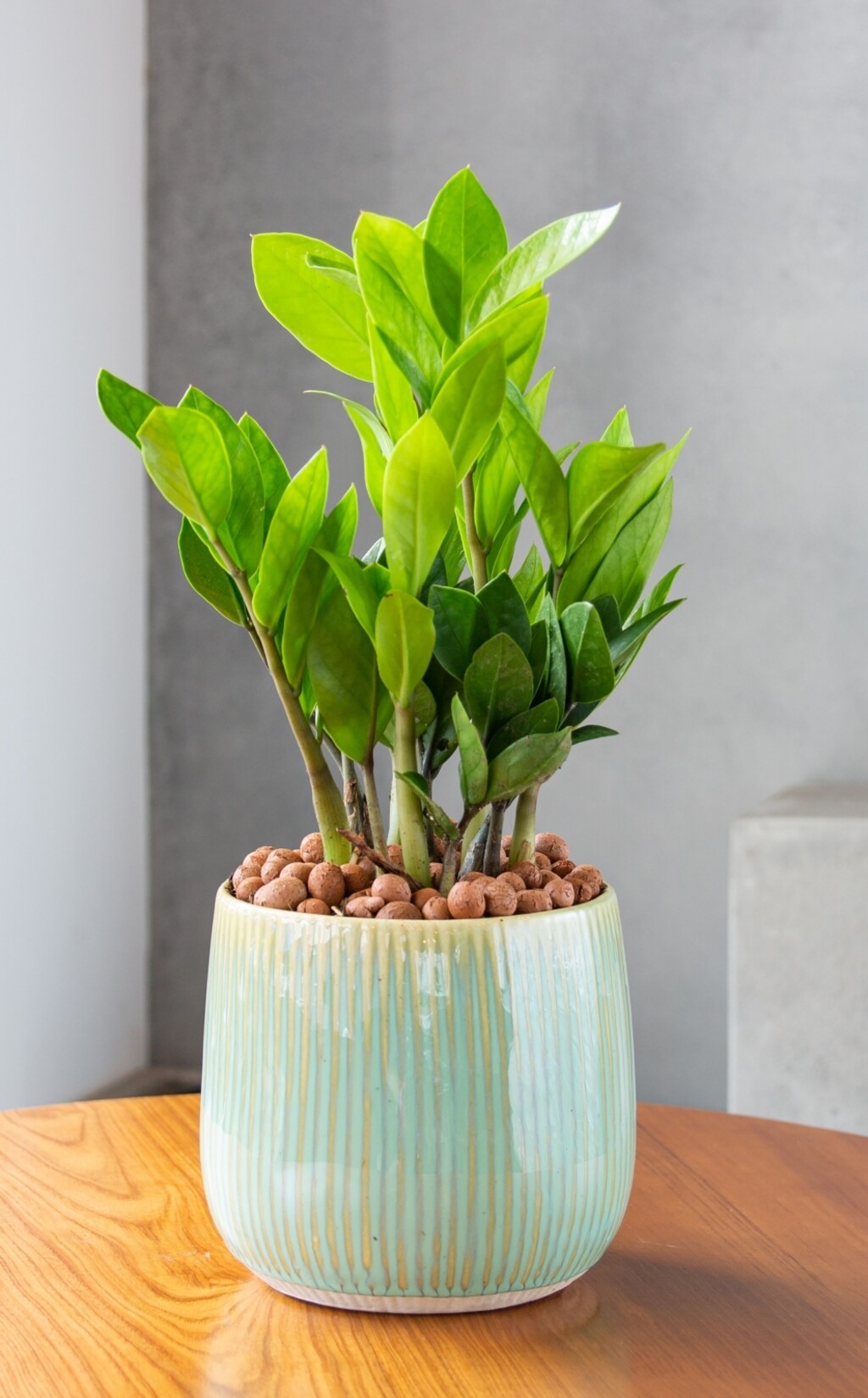 Biljke uspijevaju i uz minimalnu svjetlost