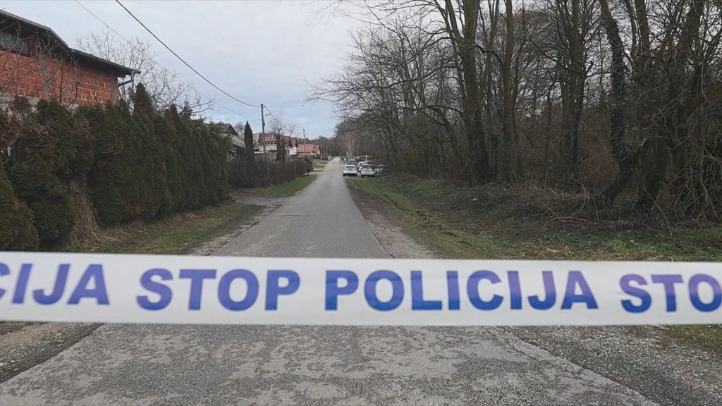 Ubojstvo karikaturista Damira Novaka