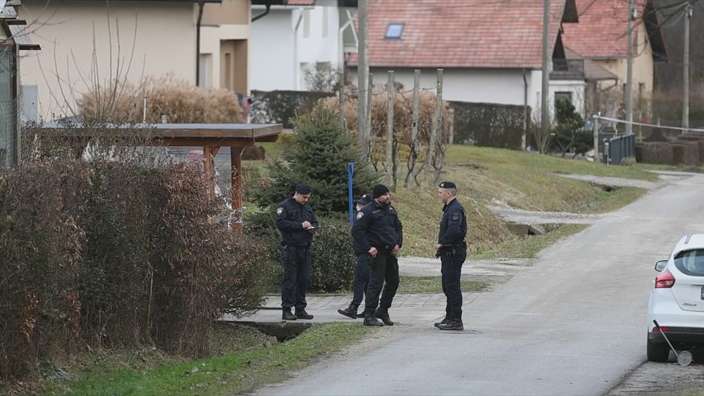 Ubojstvo karikaturista Damira Novaka