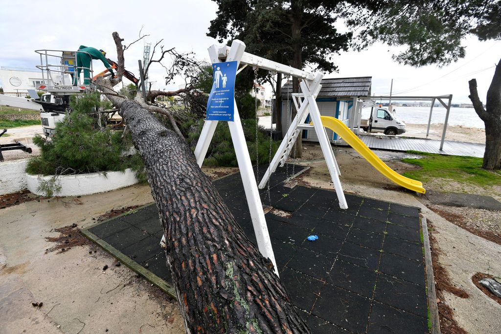 Bor se srušio na igralište - 4