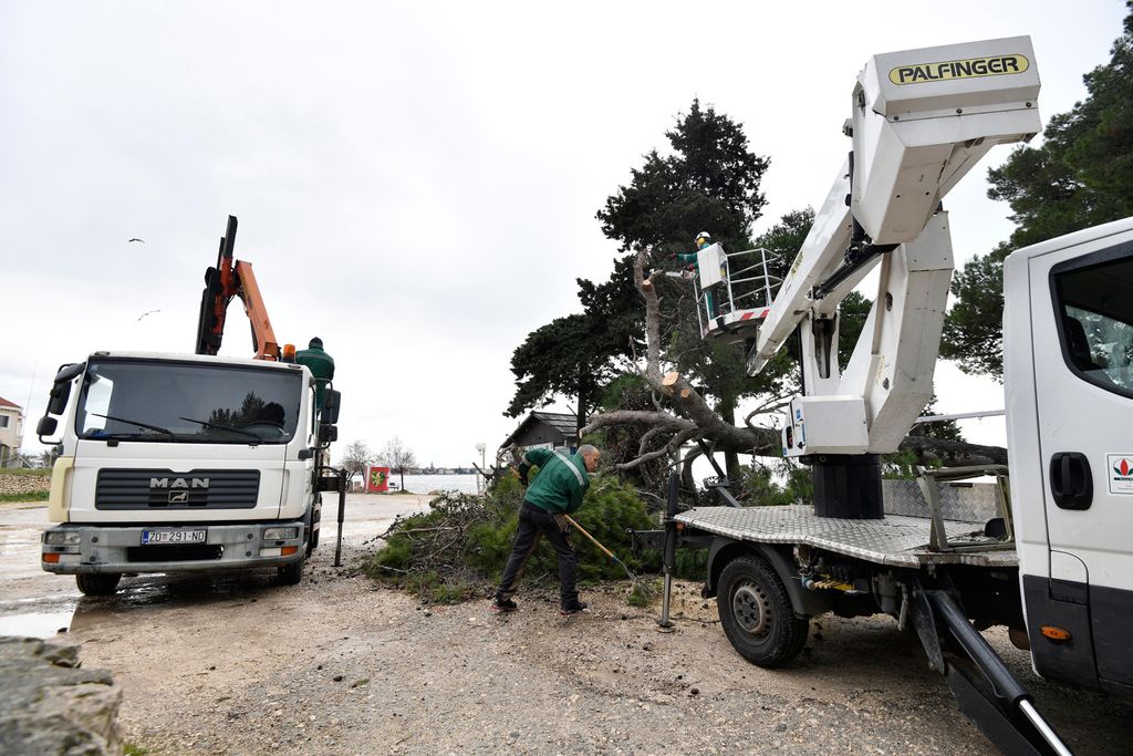 Bor se srušio na igralište - 4