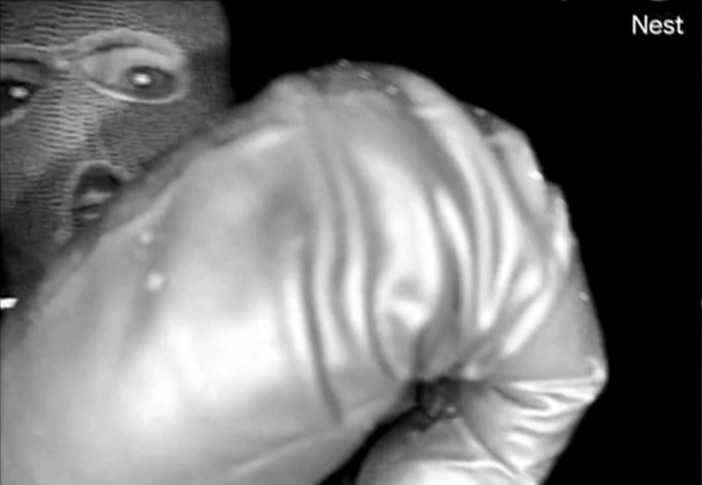 Snimke nadzorne kamere