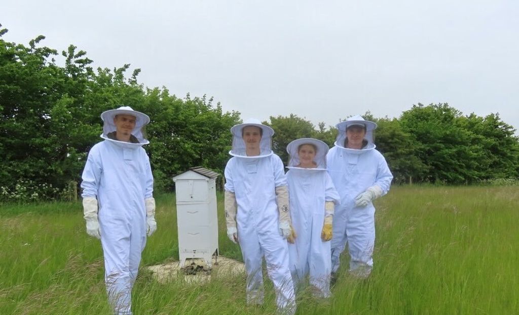 Brooklyn Beckham, Romeo Beckham, Cruz Beckham, Harper Beckham