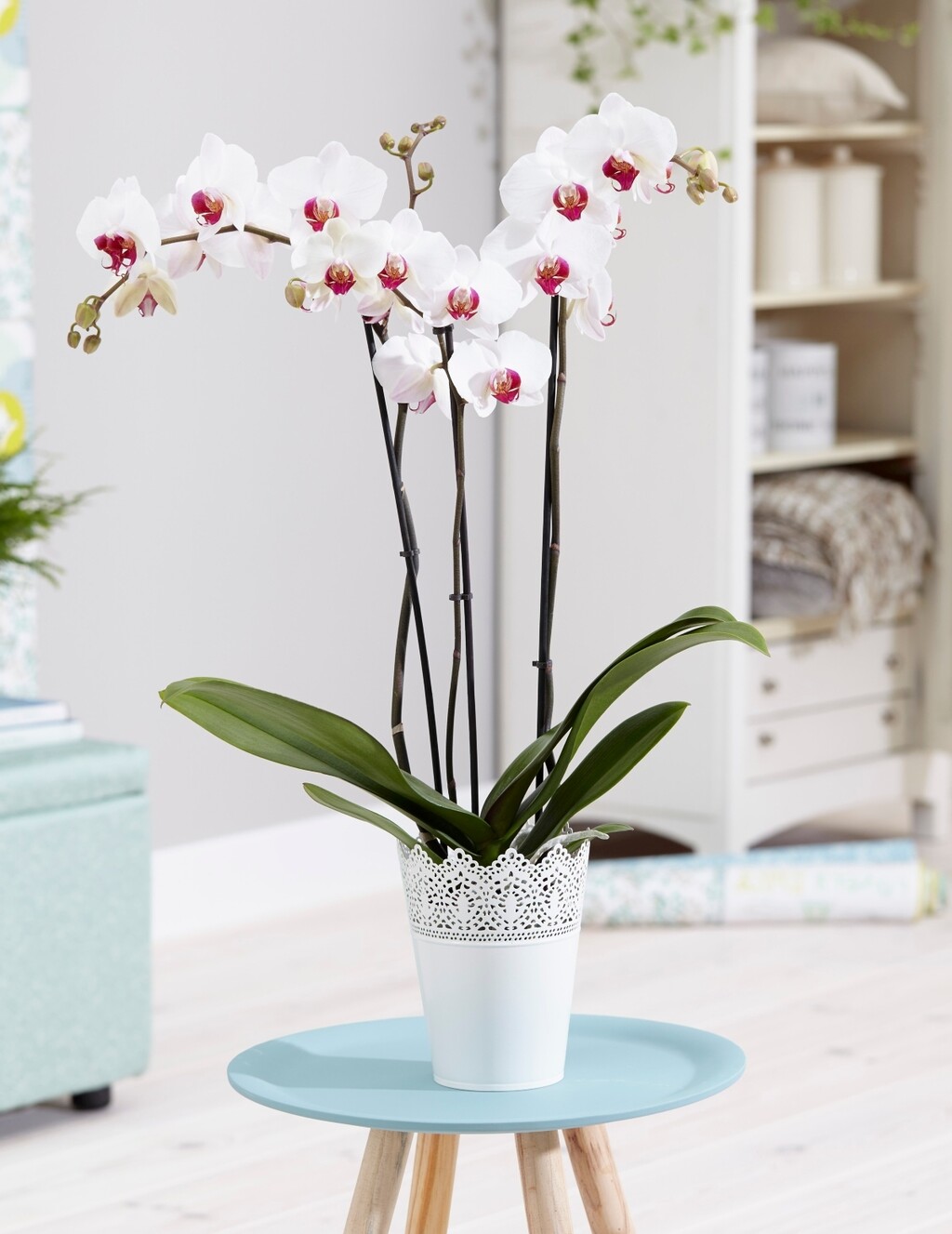 Talog kave zadržava vlagu i može začepiti prostore između komadića kore