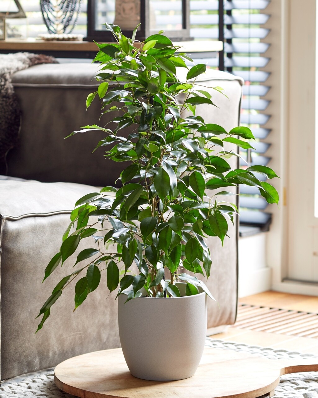 Talog kave može promijeniti kiselost i poremetiti ravnotežu vlage