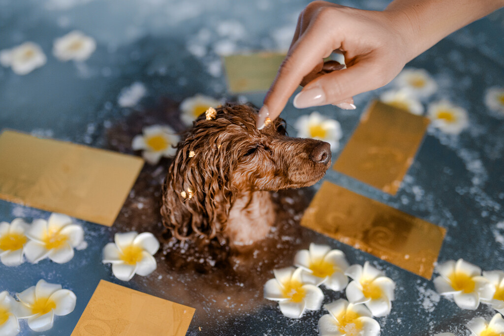Dubai Luxe tretman jedinstveni je premium spa ritual za pse - 9