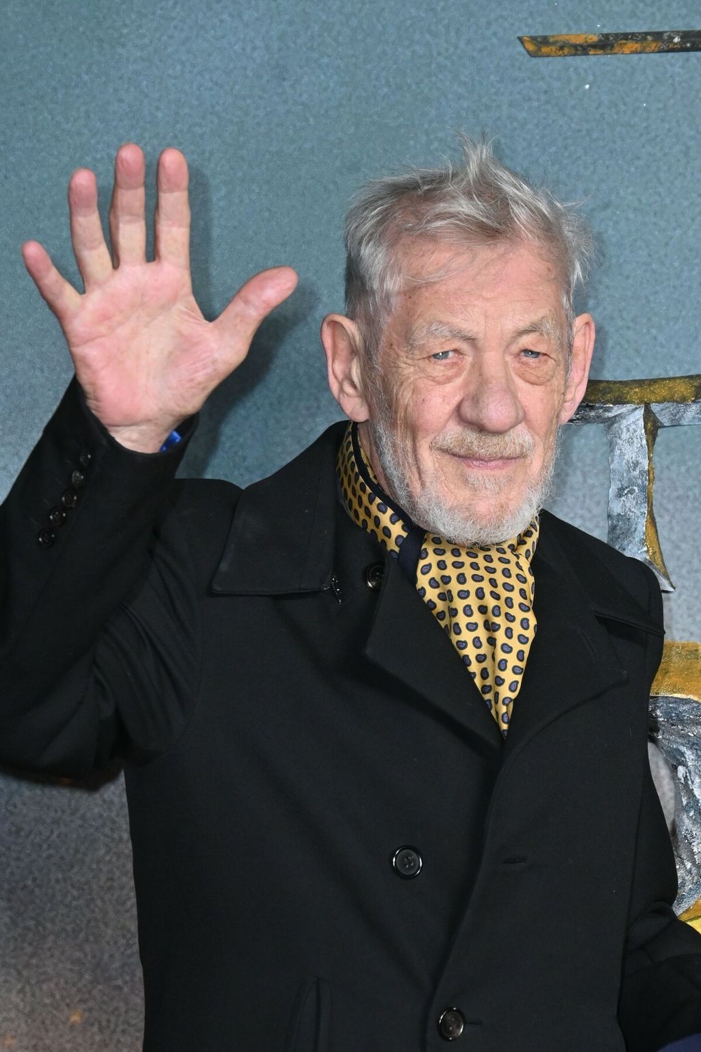 Ian McKellen