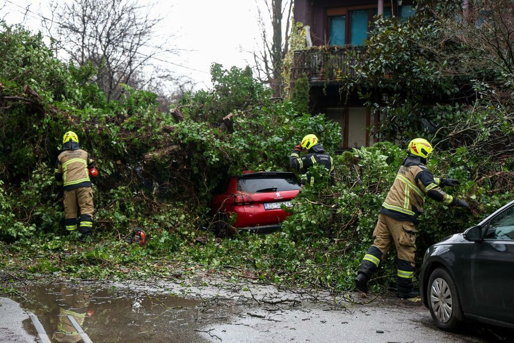 Stablo u Zagrebu palo na automobile - 1