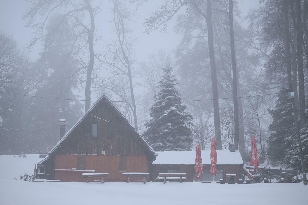 Snijeg na Sljemenu - 2