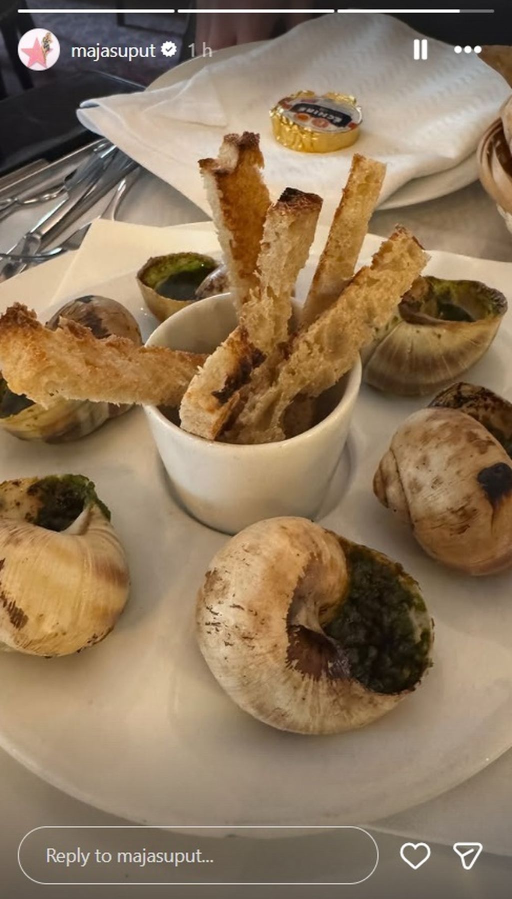 Maja Šuput na Instagramu - 4