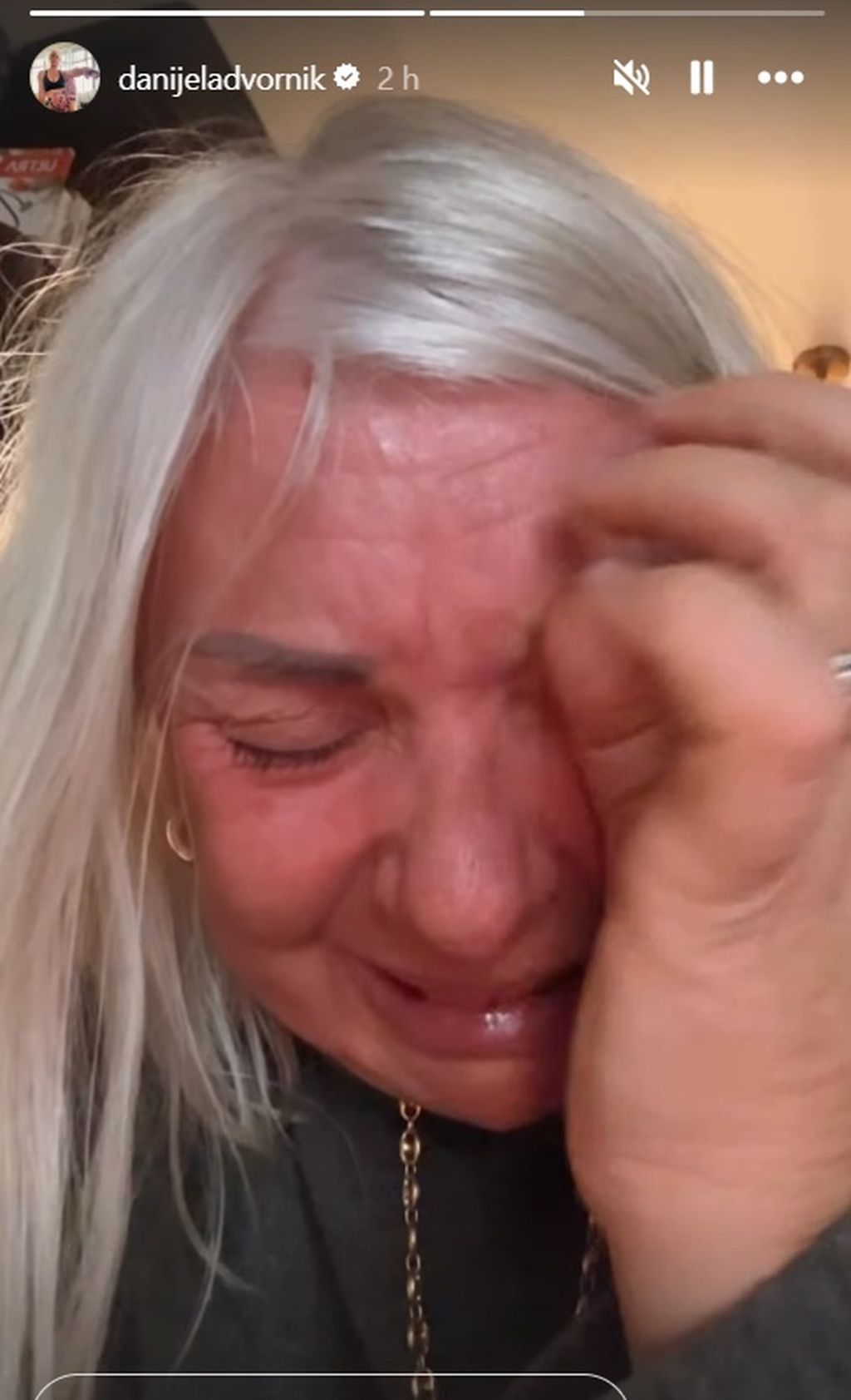 Danijela Dvornik na Instagramu - 2