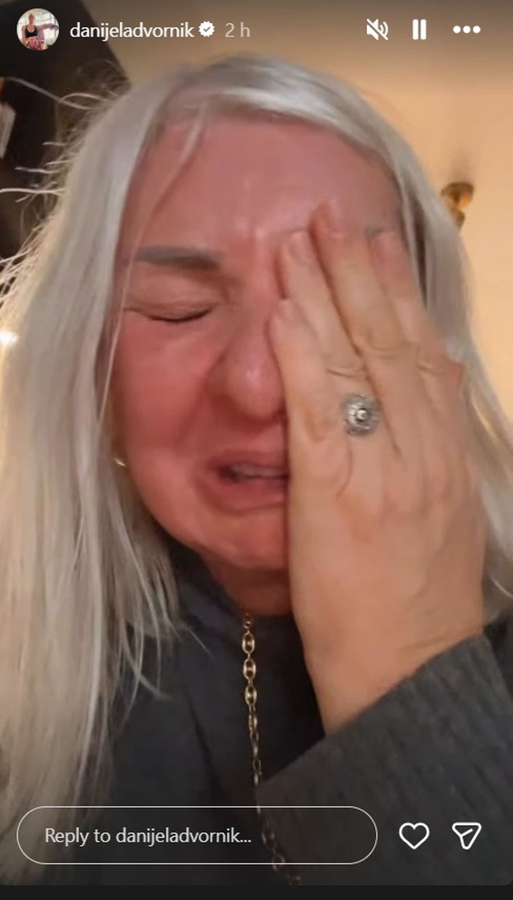 Danijela Dvornik na Instagramu - 3