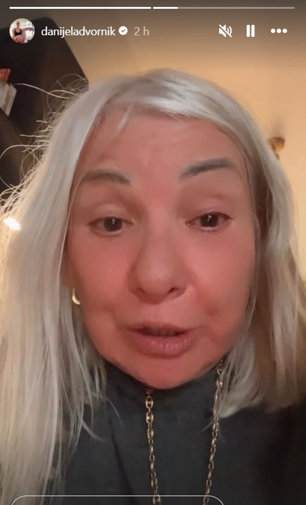 Danijela Dvornik na Instagramu - 4
