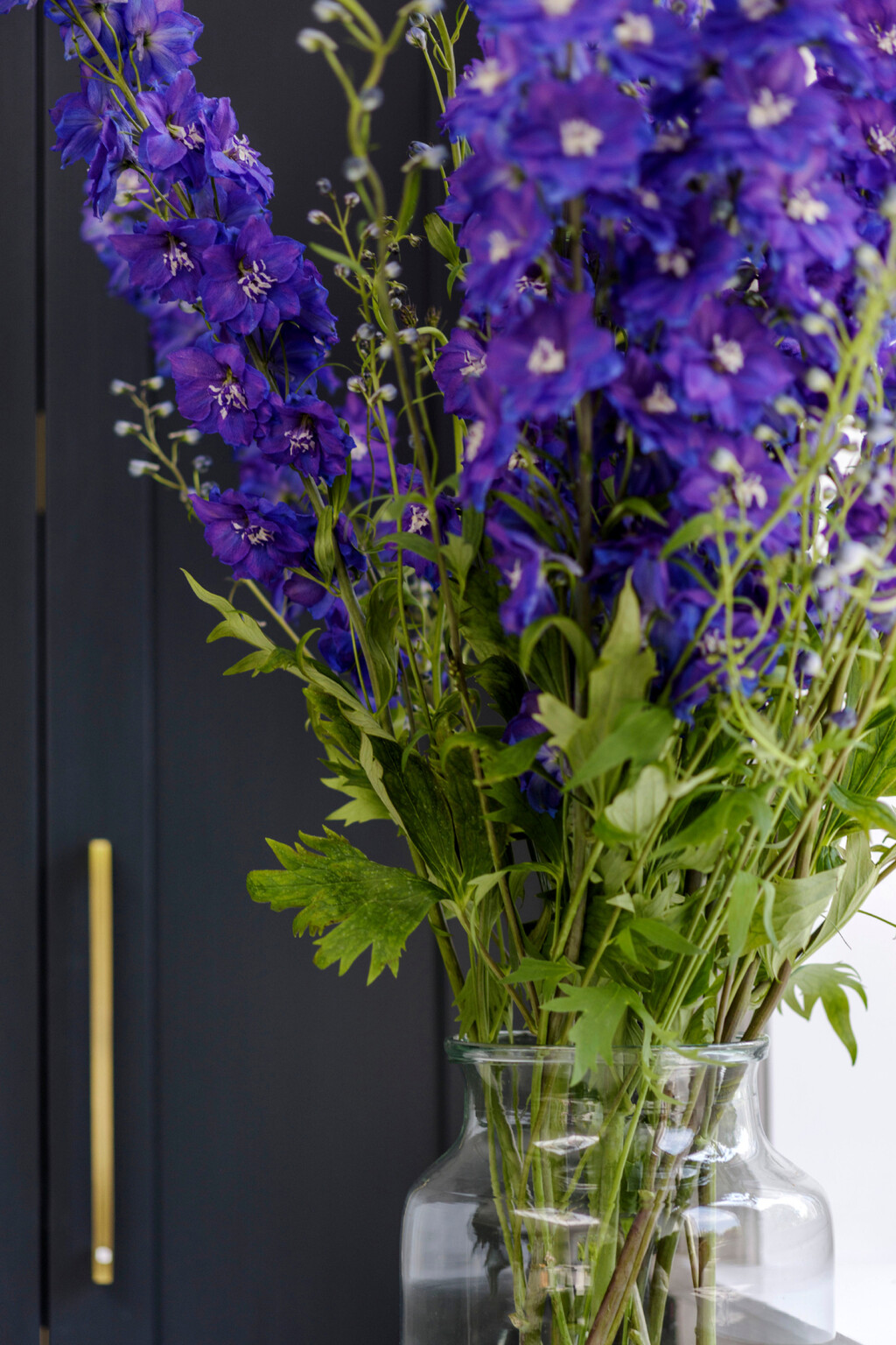 Kokotić je cvijet 2026. godine