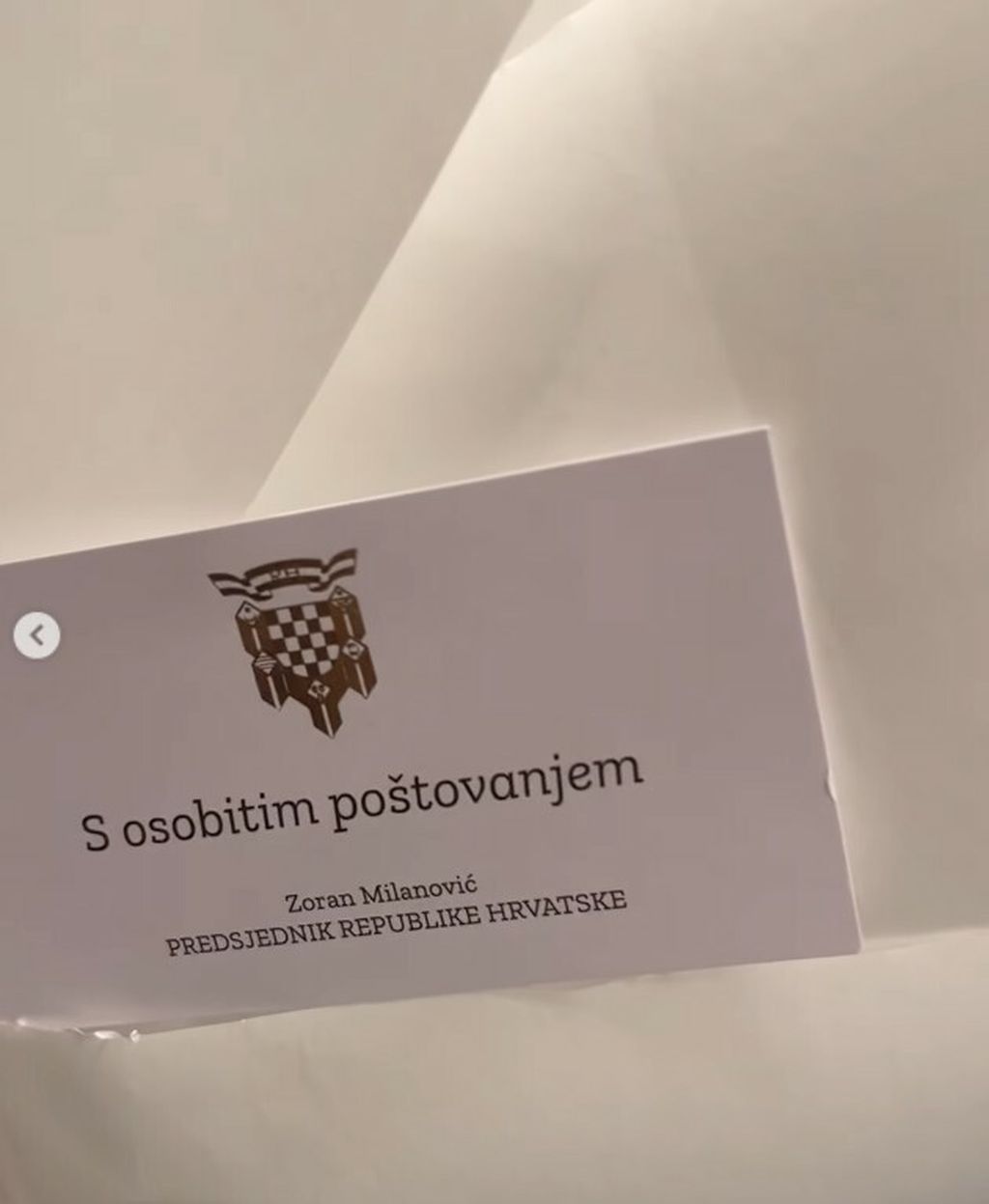 Anja Šovagović-Despot na Instagramu