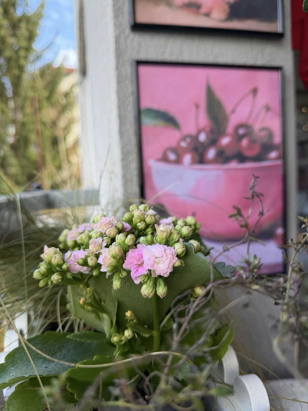 Balkon Cvetanke Belički iz Skoplja - 4