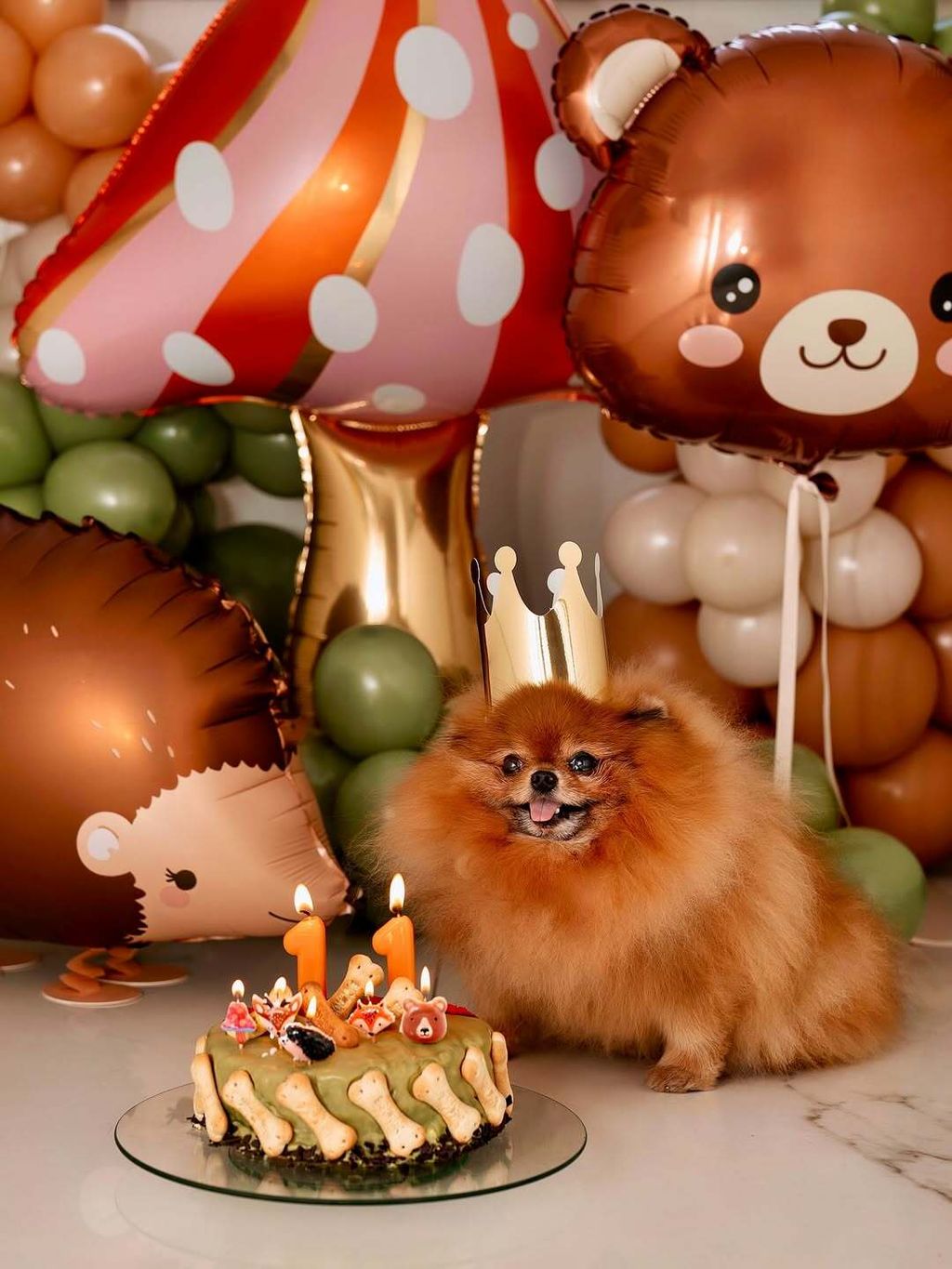 Marko Grubnić na Instagramu - 1