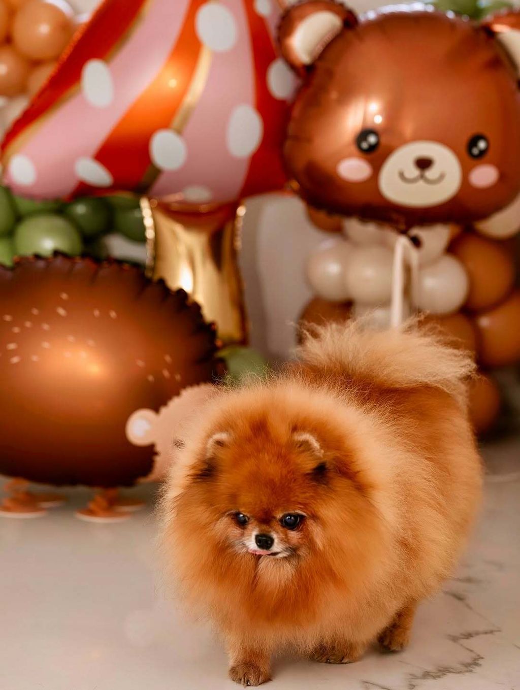 Marko Grubnić na Instagramu - 6