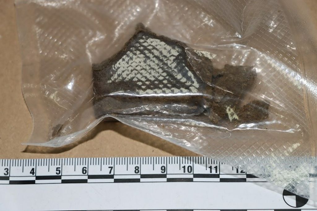 Policija, ilustracija