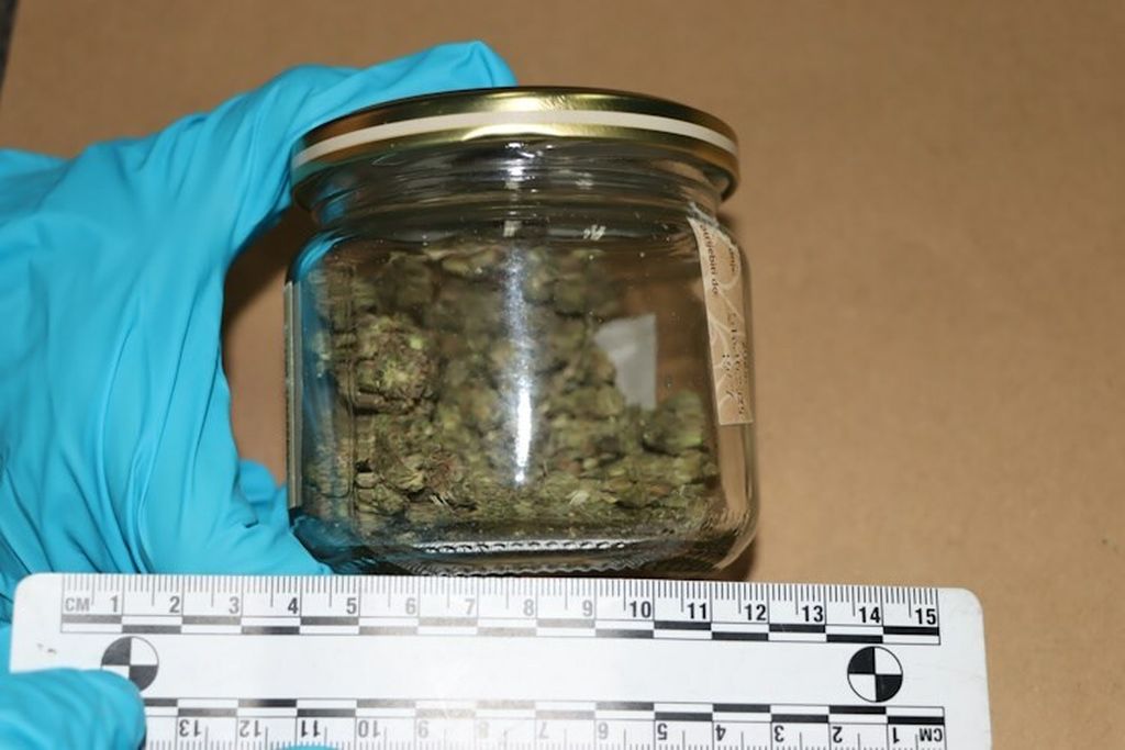 Policija, ilustracija