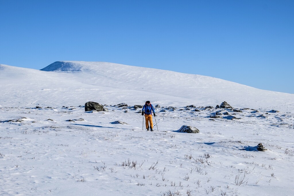 Muskox Expedition - 37