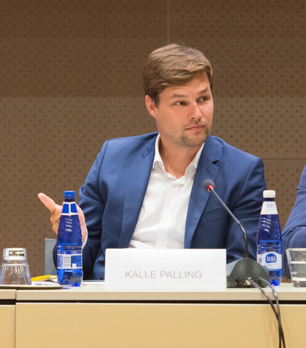 Kalle Palling (Foto: Erik Peinar, Riigikogu)