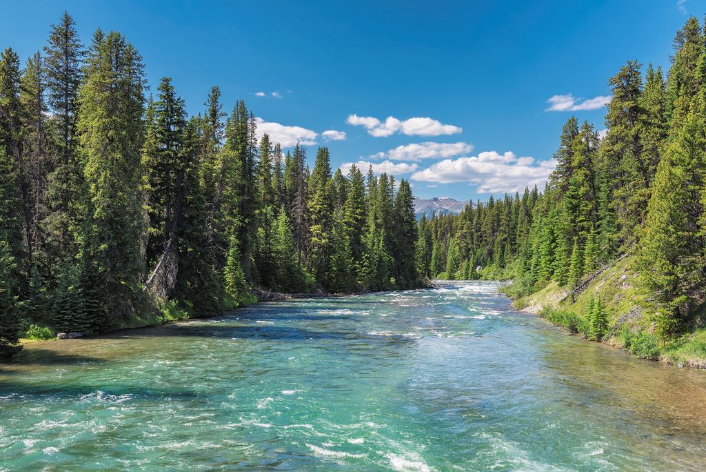 Najveći nacionalni park Kanadskog stjenjaka – Park Jasper - 4