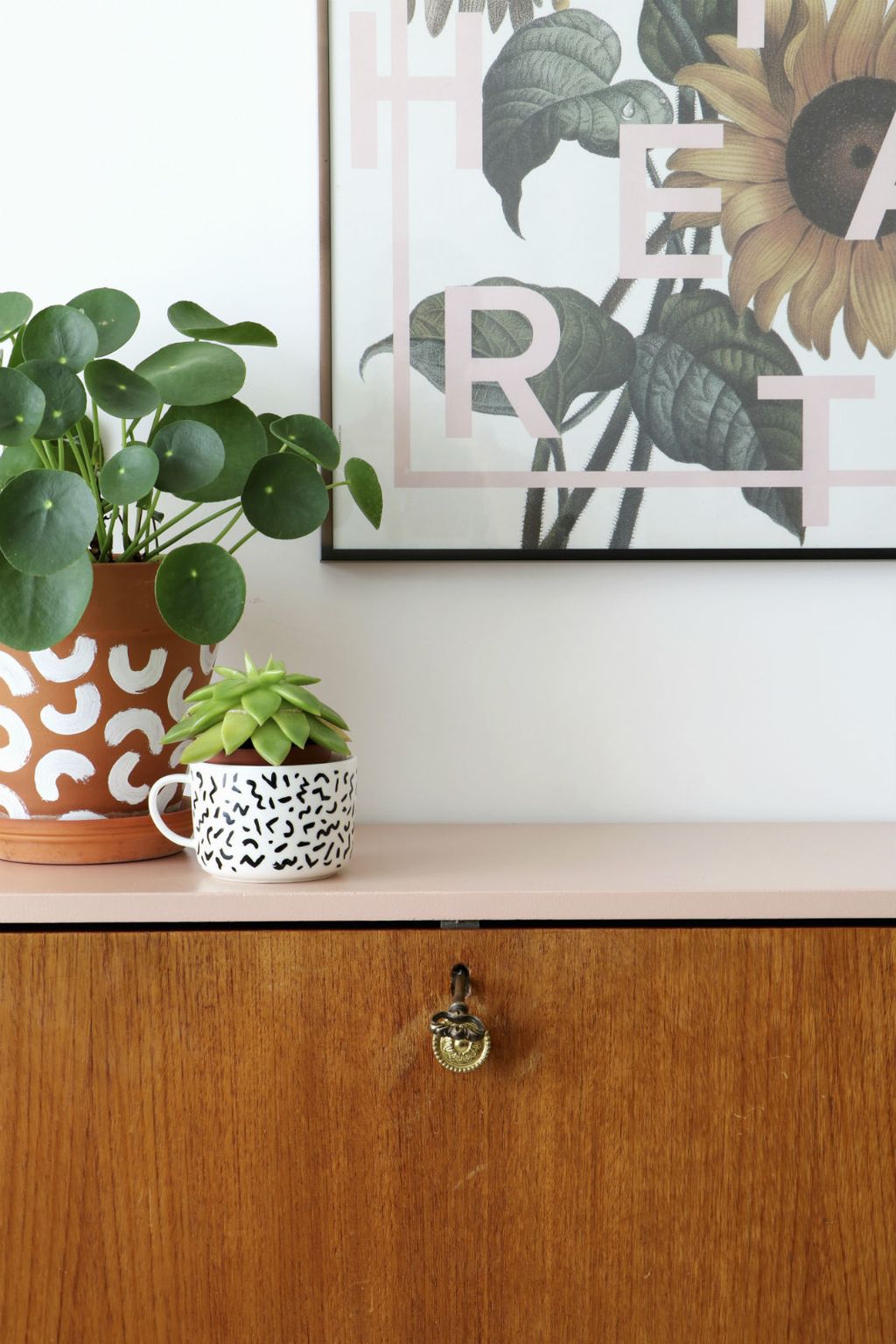 Pilea peperomioides (Kineski dolar) je biljka koja privlači energiju bogatstva i blagostanja