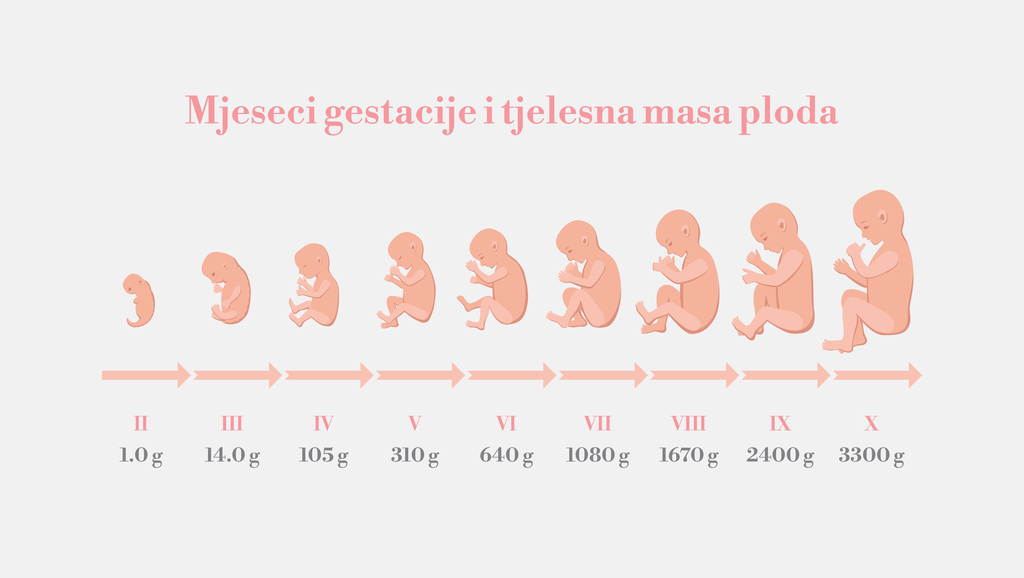 Mjeseci gestacije i tjelesna masa ploda
