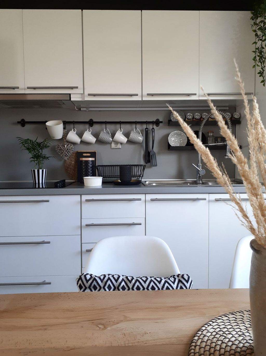 Stan Tanje Jelen u Novom Marofu - 3