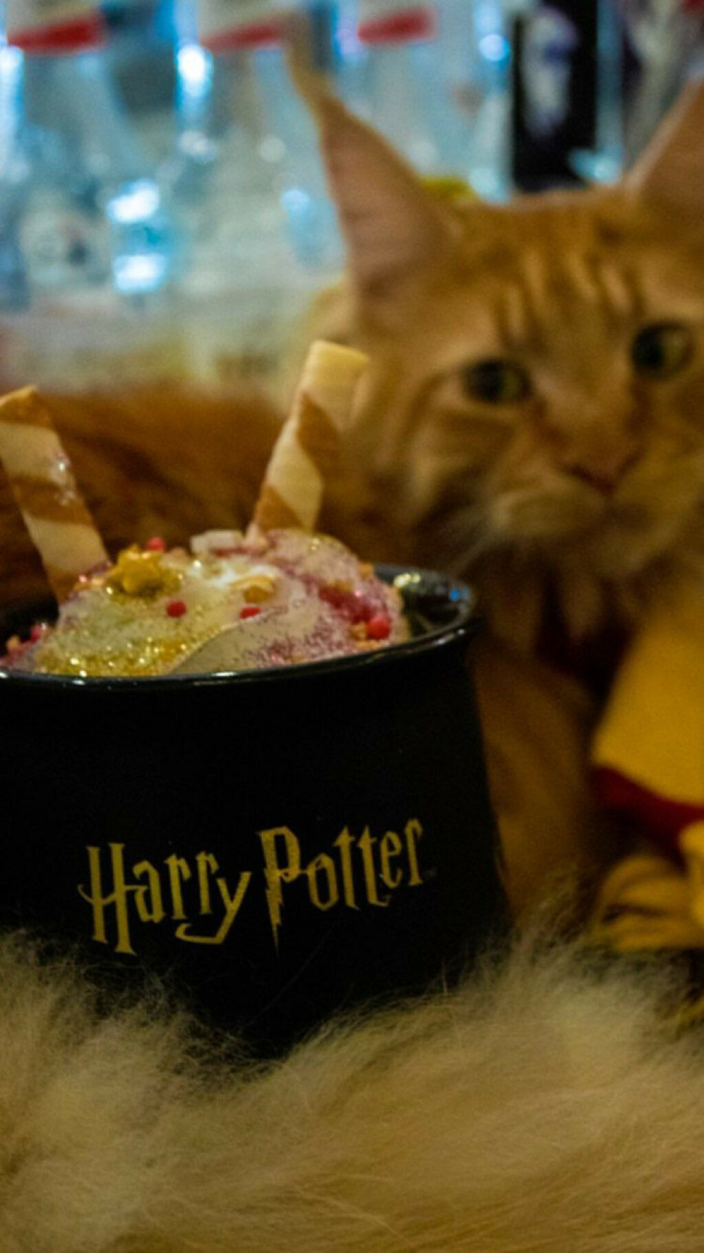 U zagrebačkom Cat Caffeu počinju dva tjedna Harry Potter tematskih pića - 4