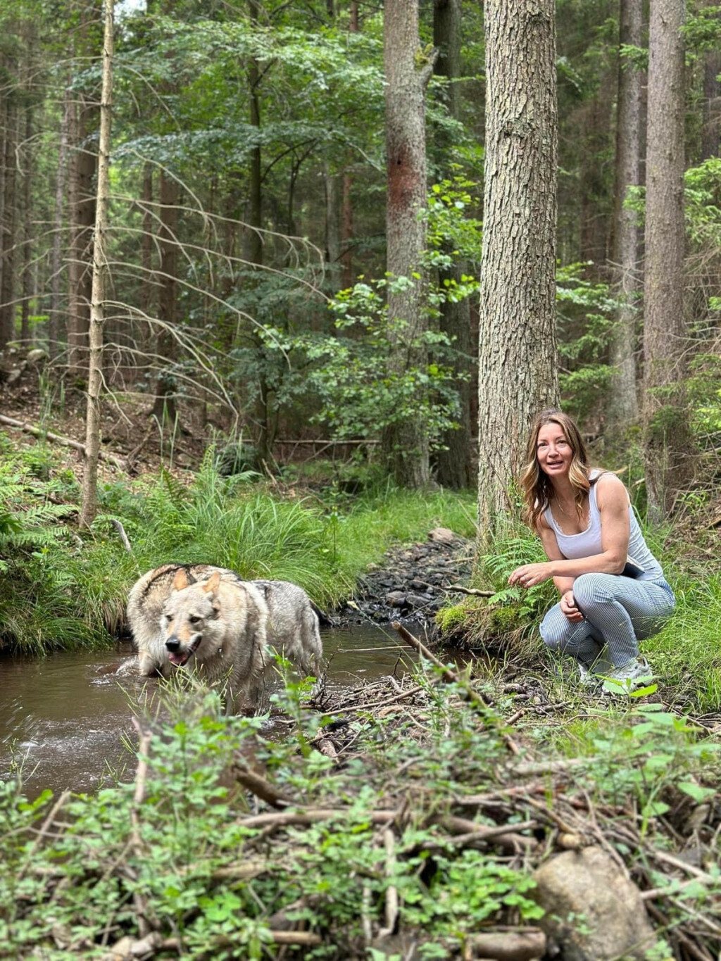 Uzgajivačnica Van Luk Wolf u Velikoj Gorici bavi se uzgojem pasmine čehoslovački vučji pas - 9
