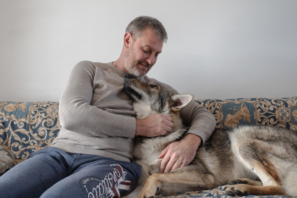 Uzgajivačnica Van Luk Wolf u Velikoj Gorici bavi se uzgojem pasmine čehoslovački vučji pas - 12