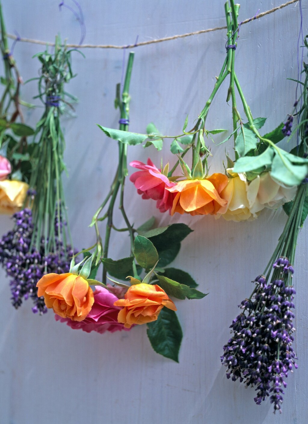 Cvijeće koje visi je divan ukras doma