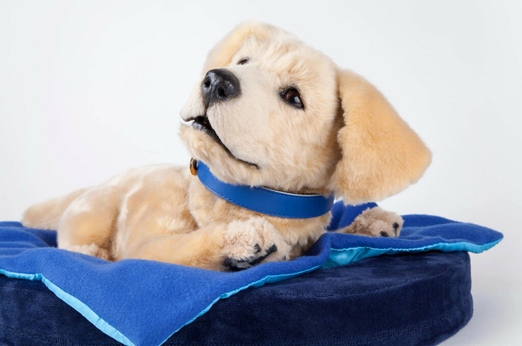 Robotski psić Jennie društvo je osobama koje boluju od Alzheimerove bolesti