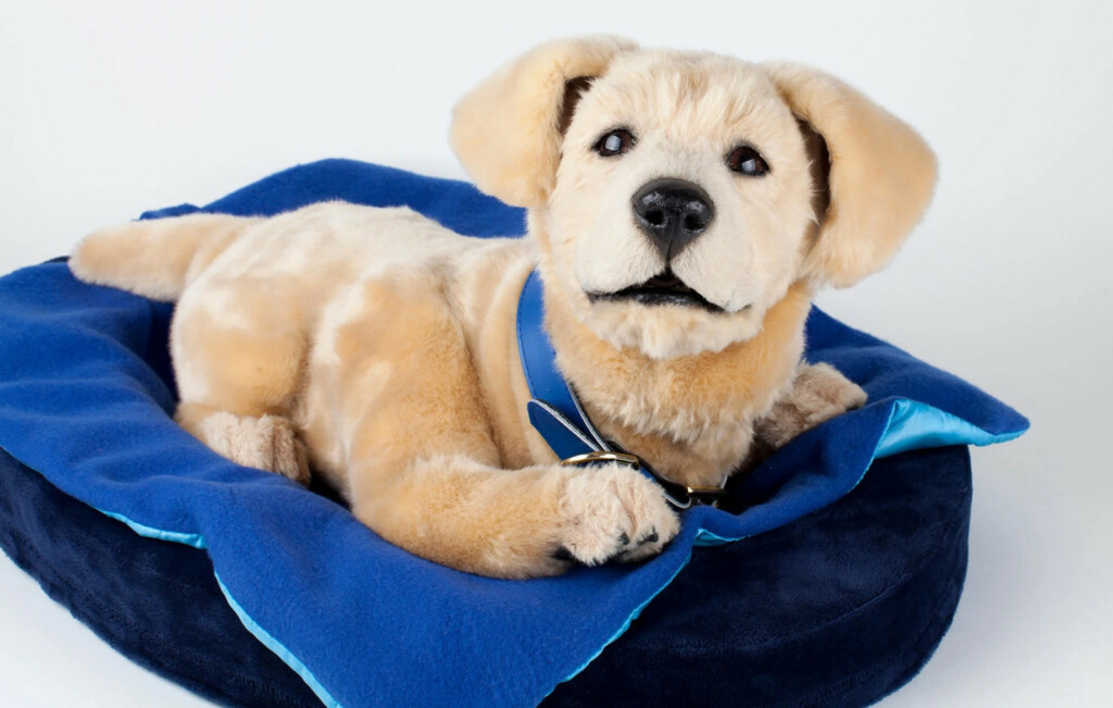 Robotski psić Jennie društvo je osobama koje boluju od Alzheimerove bolesti - 6