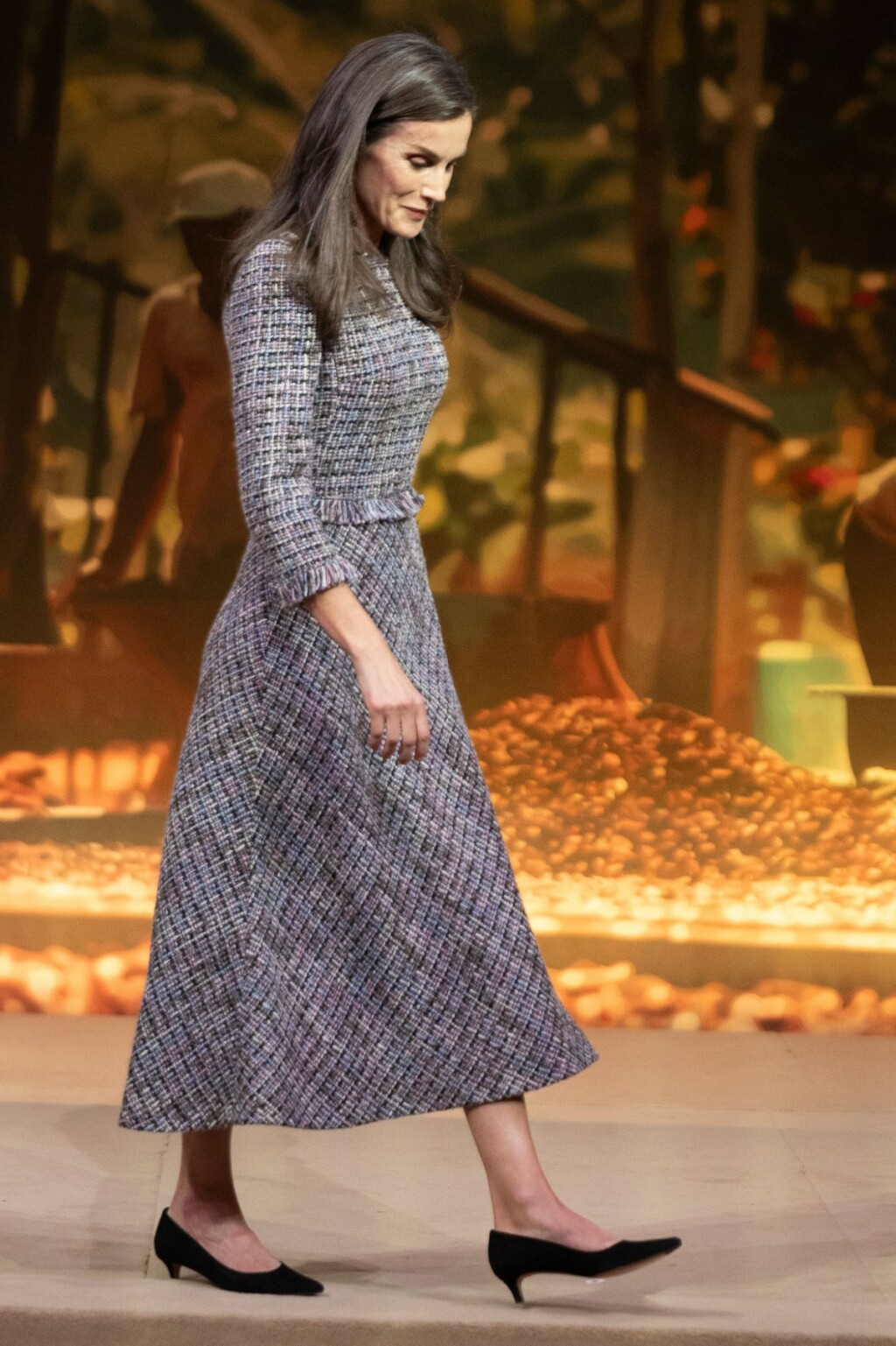 Kraljica Letizia u haljini od tvida