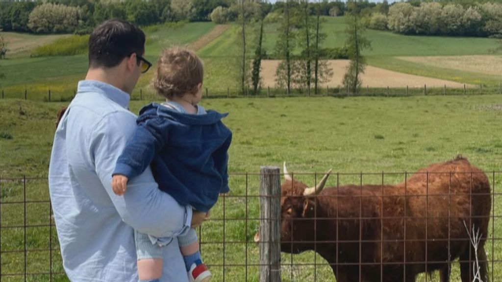 Fabijan Pavao Medvešek - 1