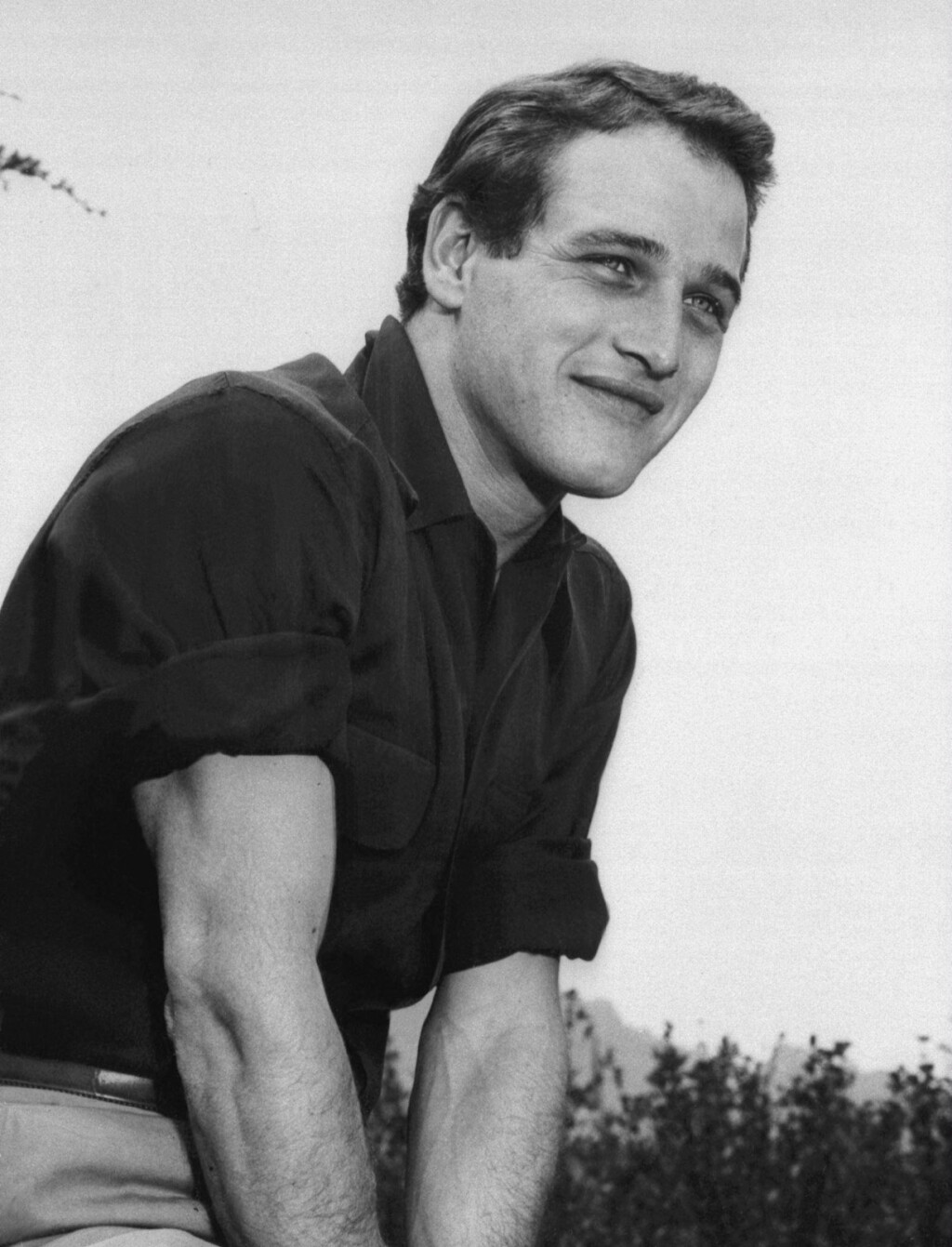 Paul Newman