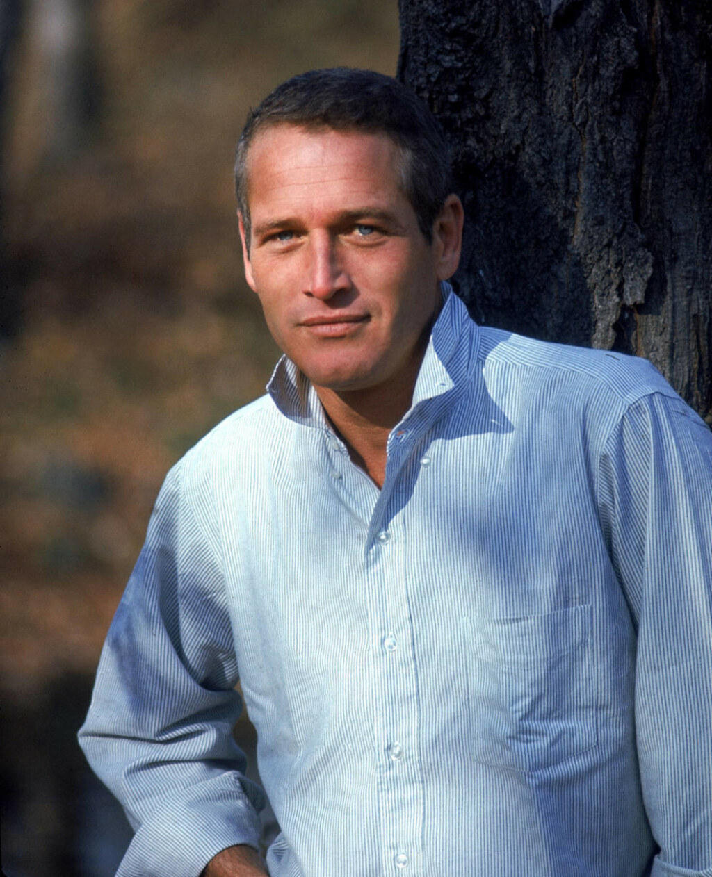 Paul Newman