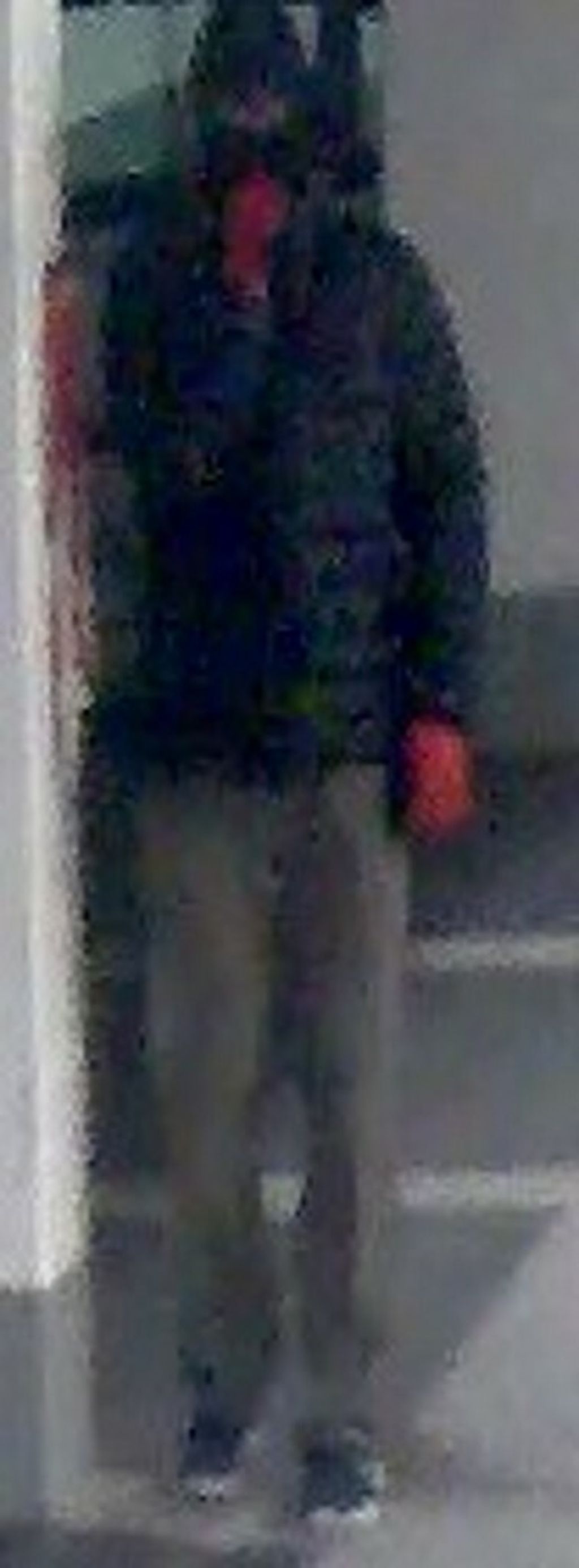 Trezor,pljačkaš, vozilo za bijeg