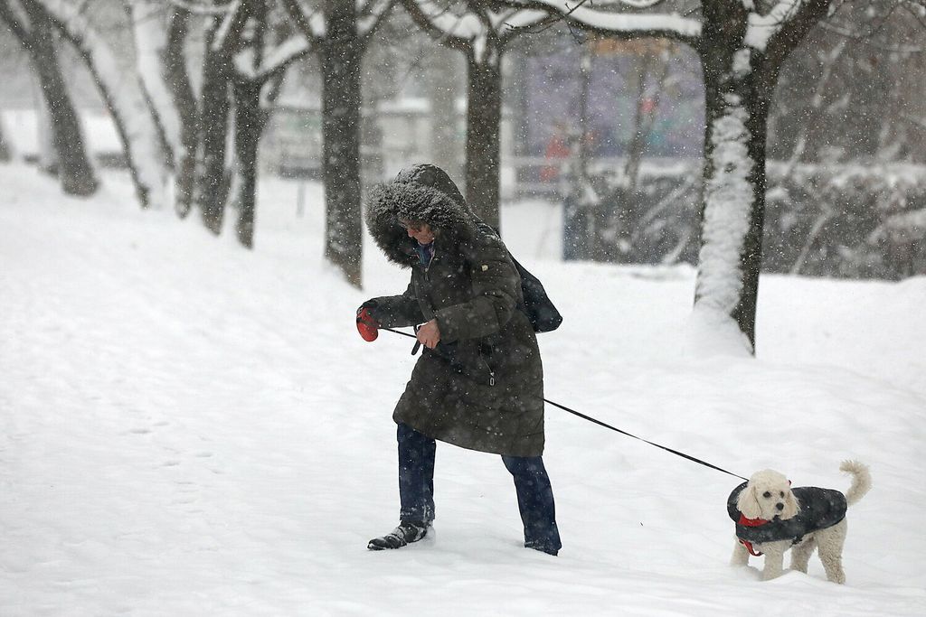 Snijeg u Zagrebu - 41